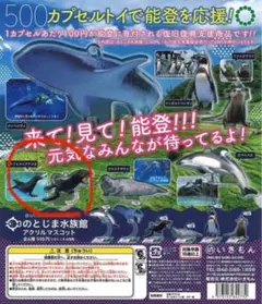 NTC のとじま水族館 アクリルマスコット カリフォルニアアシカ
