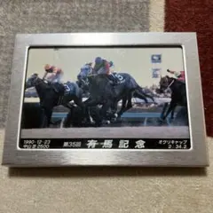 第35回 有馬記念