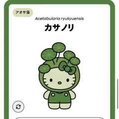 EXPO2025日本館ハローキティ アルガエ ピンバッジ カサノリ