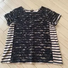 レース　ボーダー Tシャツ