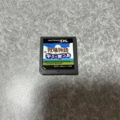 DSソフト　牧場物語　キミと育つ島