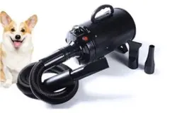 Item thumbnail for item c98ed066-ec08-4fdd-817b-8fdd8f33a808