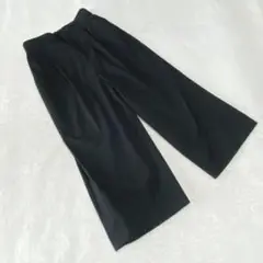 EK3734【アンタイトル】ワイドパンツ【2】クロップド丈 タック バックゴム黒