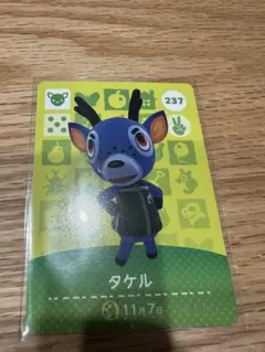 タケル　あつ森・あつまれどうぶつの森・アミーボ・amiiboカード
