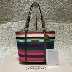 COACH コーチ ハンドバッグ F14009