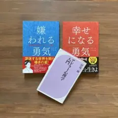 【アドラー3冊セット】嫌われる勇気 幸せになる勇気 アドラー心理学入門 岸見一郎