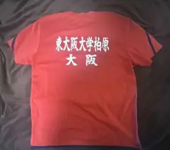 Item thumbnail for item 4dd3ccf3-fc6b-45b2-80e0-7f55a7d89617