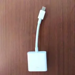Apple Mini DisplayPort - DVIアダプタ