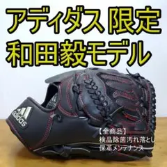 新品タグ付き　NIKE ナイキ　硬式　投手用　グローブ　和田毅モデル 新品タグ付き NIKE ナイキ 硬式 投手用 グローブ 和田毅モデル