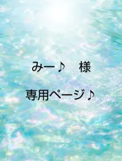 みー♪様♪専用ページ♪