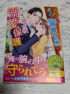 再会したクールな警察官僚に燃え滾る独占欲で溺愛保護されています