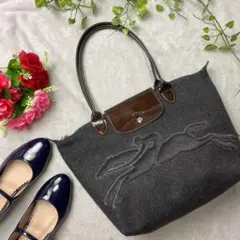 【希少】LONGCHAMP ロンシャン 黒 フェルトハラコ ヴィクトワール
