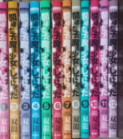 間違った子を魔法少女にしてしまった 1～13巻セット
