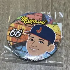 万波中正　侍ジャパン　日本ハムファイターズ