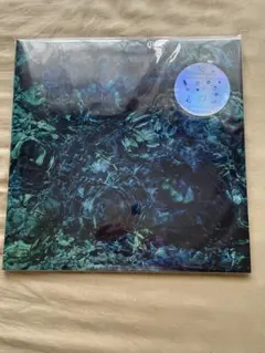【本日限定価格】 青葉市子　アダンの風　レコード Amazon.co.jp: 青葉市子 Windswept Adan アダンの風 アナログ