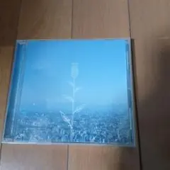 コブクロ　蕾