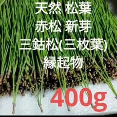 Item thumbnail for item f402ff1f-bfa6-4da9-b8f5-c45a692814c6