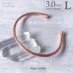 Item thumbnail for item c796c0b5-886f-4bc8-ab02-8441277783d1