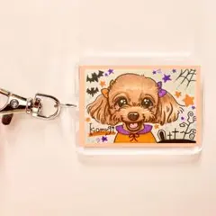 ペットグッズ☆うちの子オーダー☆似顔絵キーホルダー☆誕生日プレゼント☆犬猫うさぎ