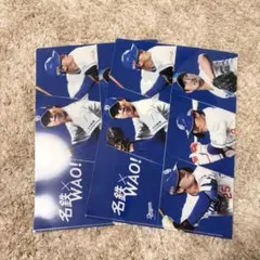 中日ドラゴンズ　名鉄ドドド　クリアファイル
