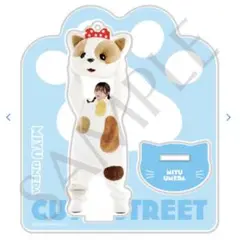 Item thumbnail for item 45332415-d547-4125-8e2e-930b4b1c9f4b