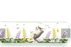 Item thumbnail for item c84fa444-0f69-42ec-bcf1-66ce9338eeef