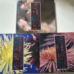秋山庄太郎、写真集　花下草上 四季の花模様集 1・2・3の3冊セット