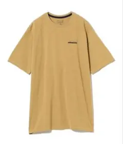 patagonia Casting Logo Responsibili Tee