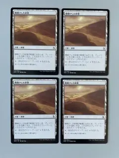 MTG 陽焼けした砂漠　日本語　4枚
