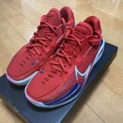 NIKE Air zoom gt cut 25cm ナイキ GT CUT