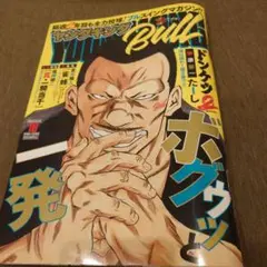 ヤングキングbull　2025年最新18号