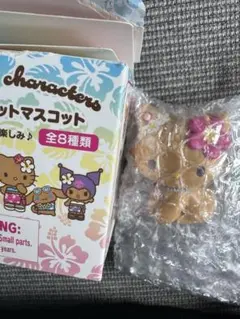 サンリオ　ココナッツシリーズ　チャーミーキティ