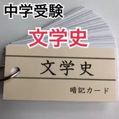 【中学受験】文学史カード（カット前）