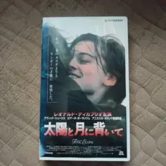 新品未開封　太陽と月に背いて　DVD ビデオテープ、VHSではございません 超安い】 Amazon.co.jp: 太陽と月に背いて【字幕版】 レオナルド