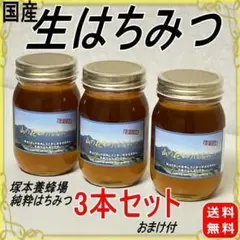国産 純粋 無添加 非加熱　生蜂蜜　山の花々のはちみつ　600ｇ✕3本