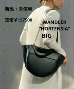 入手困難!【完全新品】 ワンドラー HORTENSIA BIG