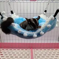 Item thumbnail for item 5e63bed4-b513-409b-89c6-0690b11488be