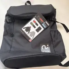 Item thumbnail for item 59d91fa5-5f3d-488e-ba81-ab3e9c2ad4c0