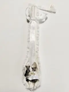 Item thumbnail for item f2471128-8a88-43d5-9a26-b3f7653d7f3d