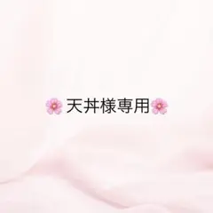 天丼さま専用ビーズ