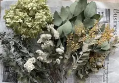 Item thumbnail for item 0518d91e-294c-432c-ac76-66e86345e8d6