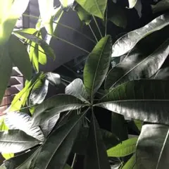 ⚠️専用おまとめ