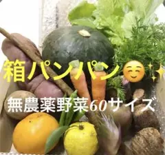 新鮮野菜セット 無農薬 野菜 詰め合わせ