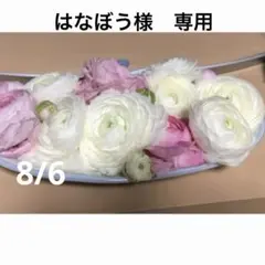 はなぼう様　専用