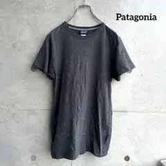 2014年 Patagonia Daily Tee オーガニックコットン 黒