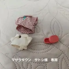 マサラタウン　サトシ様　専用