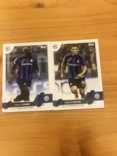 Item thumbnail for item d42491ad-2ea3-411f-9124-409014c684a5