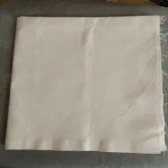 Item thumbnail for item c17c359b-8c0d-4002-85c8-1e62fa6f01e2