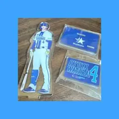 横浜DeNAベイスターズ　BlueMates限定 アクリルスタンド　度会隆輝選手