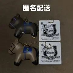 リバティアイランド・スターズオンアース キーホルダー ニュースーパーサラブレット